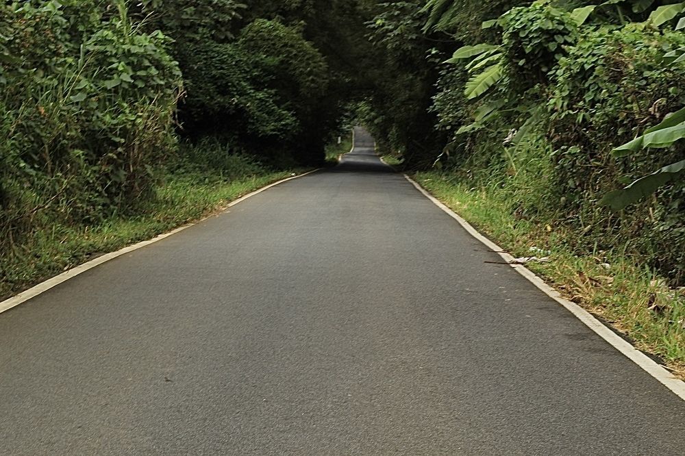 Фотография автора Jose Otero