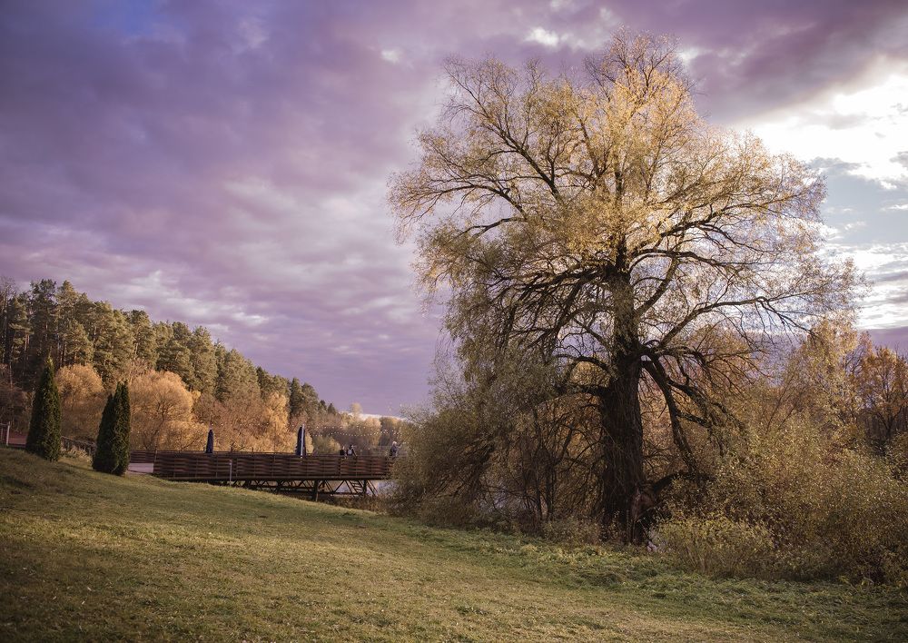 Photograph by Helena Proshkina