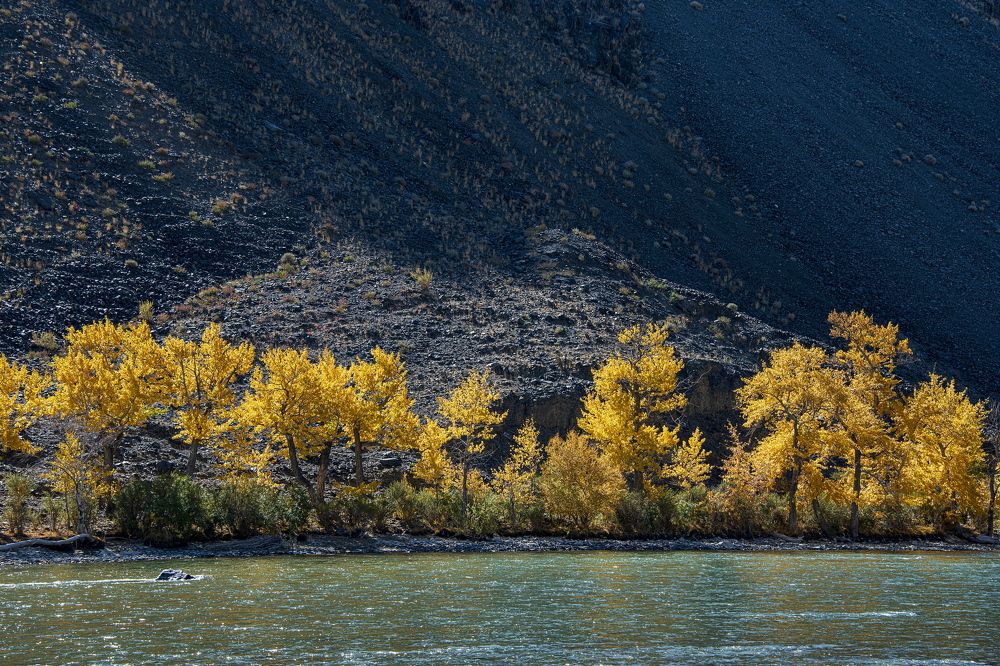 Photograph by Валентин Казанцев