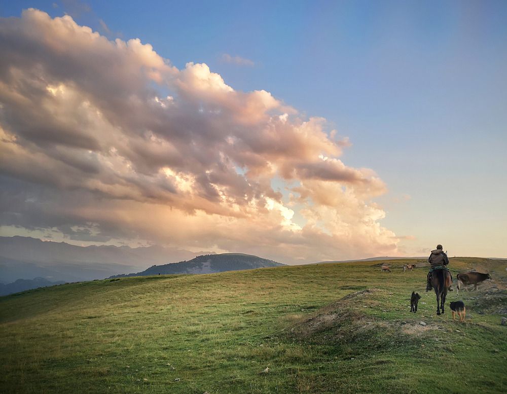Photograph by Кривенко Владимир