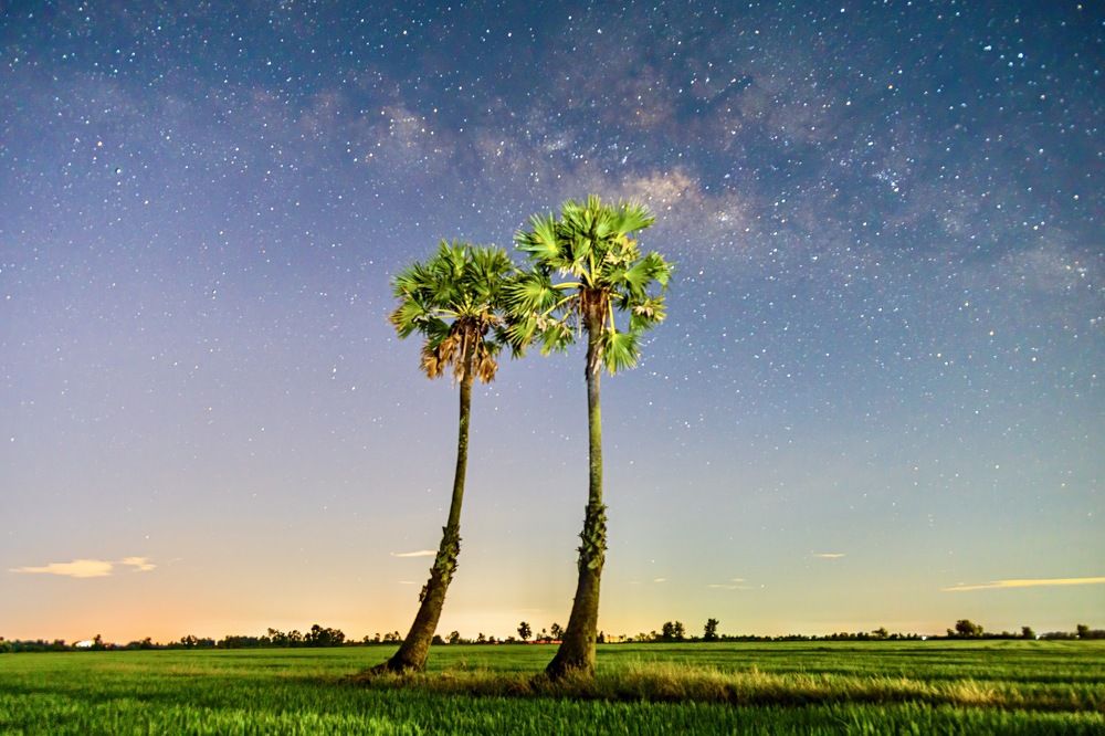 Photograph by Hải Trần