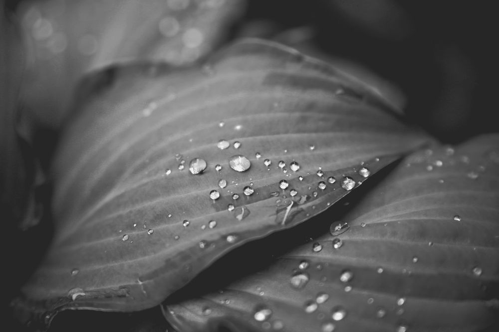 Photograph by Олеся Буланова