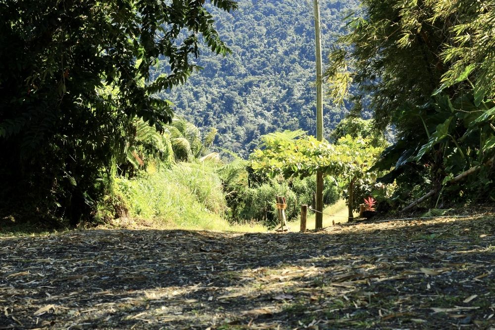 Фотография автора Jose Otero