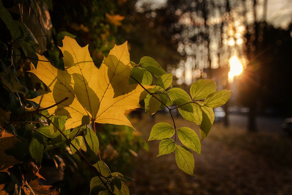 Фотография автора Ахмат Байсиев