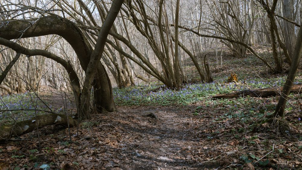 Photograph by Сергей Дивид