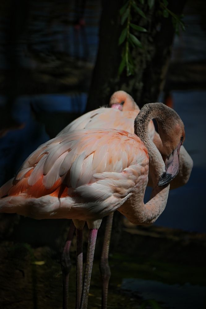 Фотография автора Olga Shchetinina