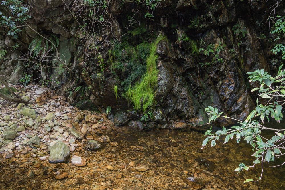 Photograph by Malinda Badenhorst