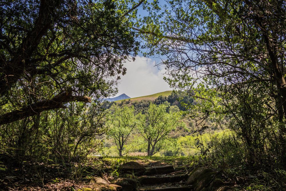 Photograph by Malinda Badenhorst