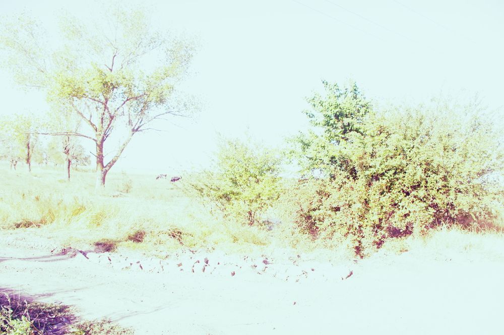 Photograph by Irina Kromm
