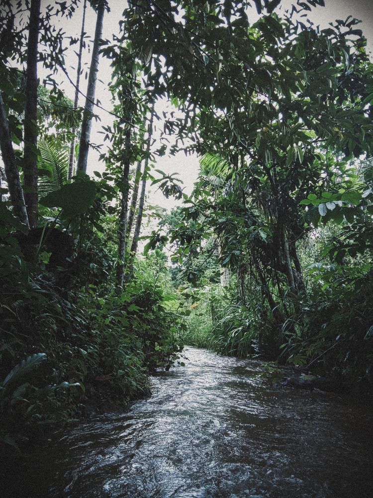 Photograph by Pawan Guruge