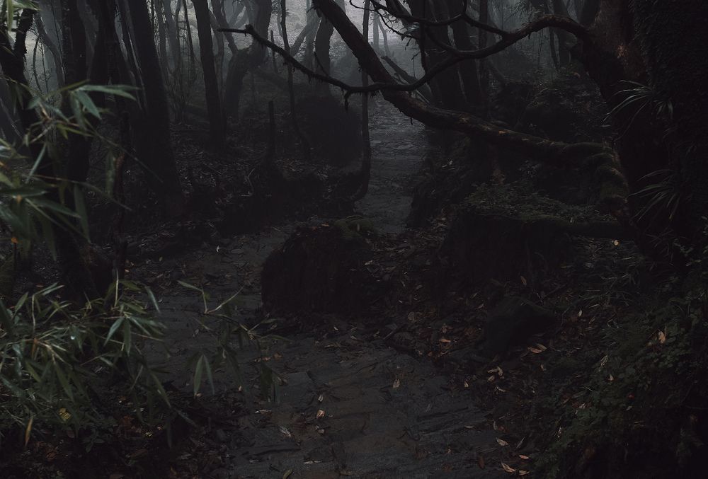 Photograph by Виктор Бабинцев