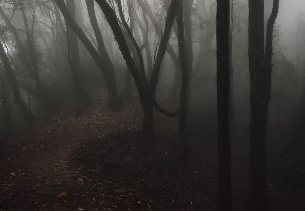 Photograph by Виктор Бабинцев