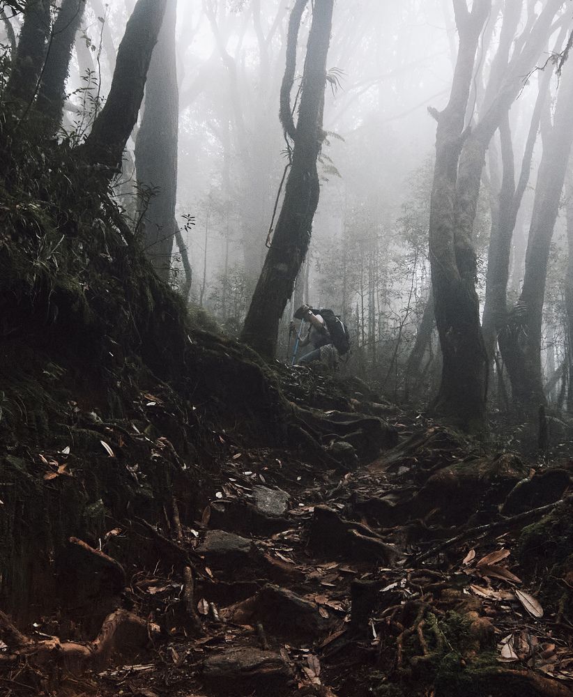 Photograph by Виктор Бабинцев