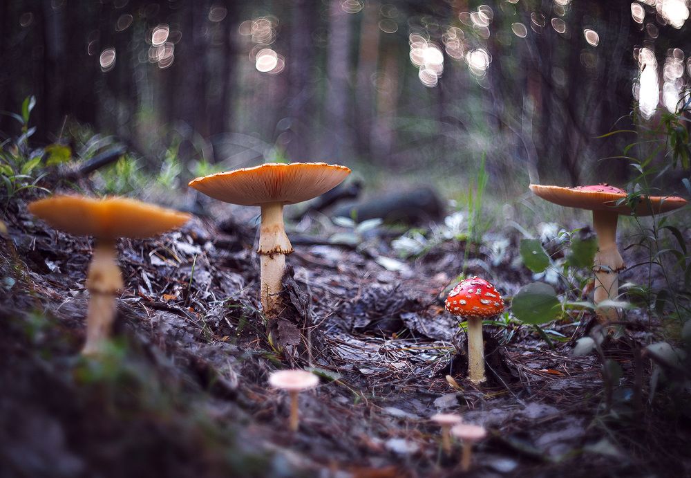 Photograph by Ткачёв Владимир