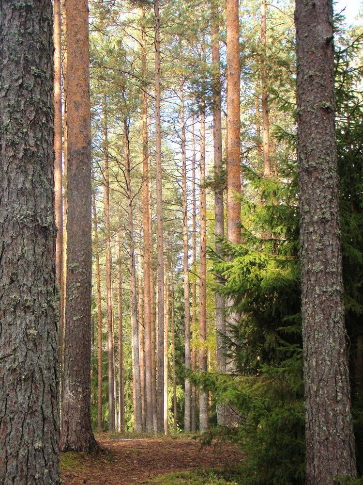 Photograph by Zakharov Matvey