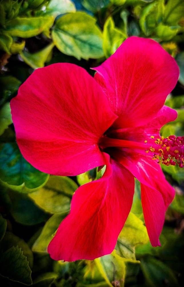 Photograph by Marharita