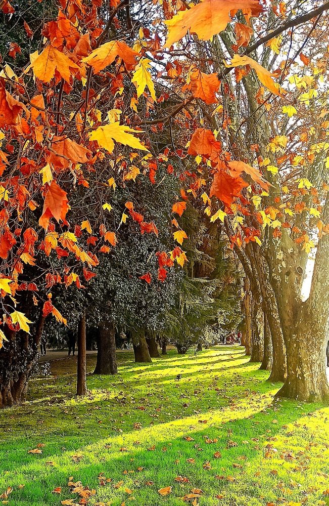 Photograph by Ольга Тихонова