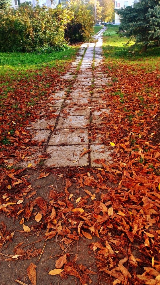 Photograph by Ия Дирко