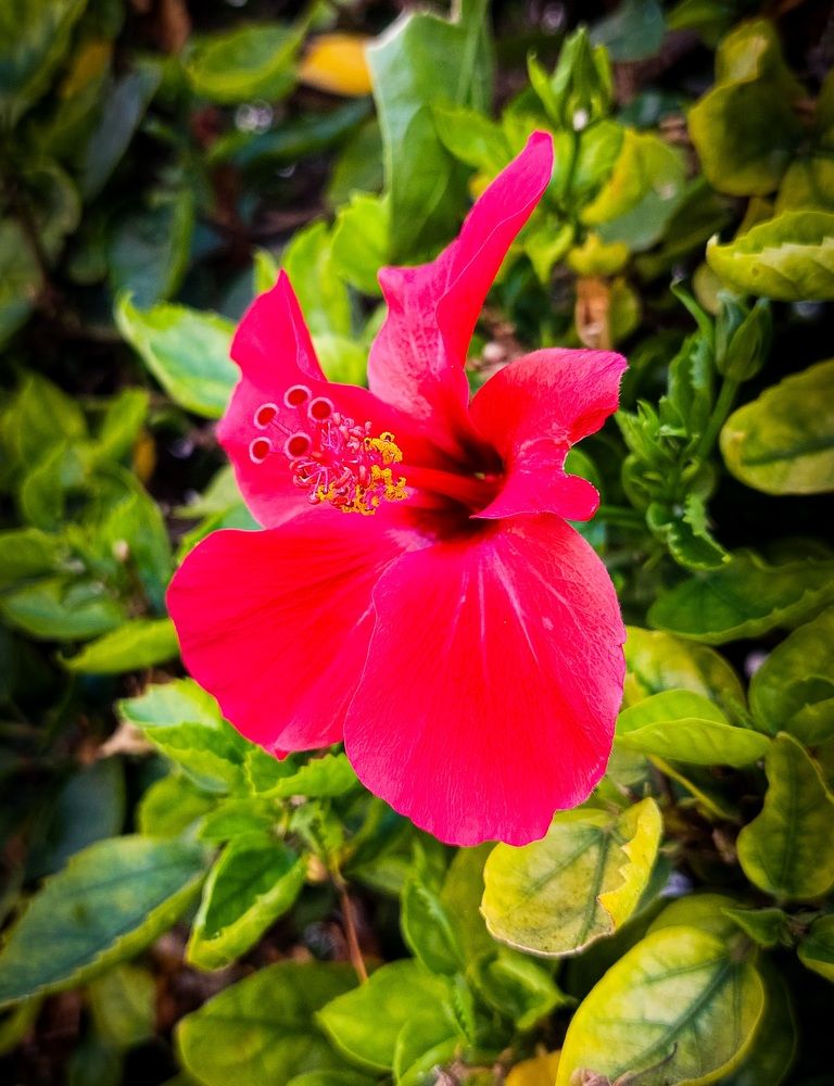 Photograph by Marharita