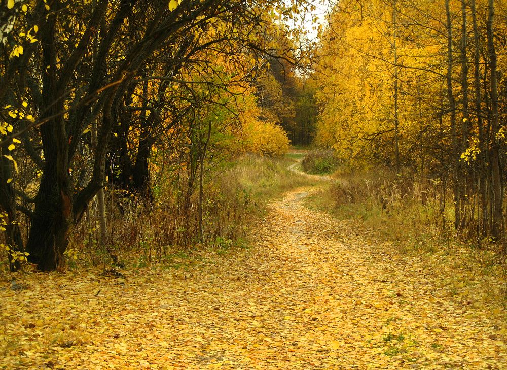 Photograph by Ионова Татьяна