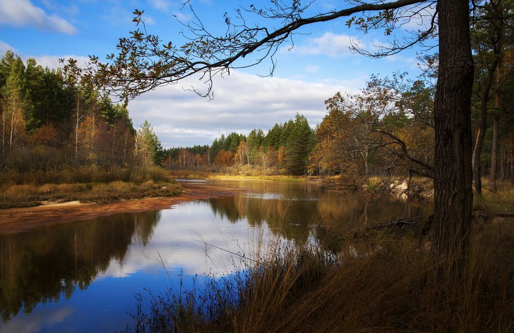 Photograph by Дмитрий Черепков