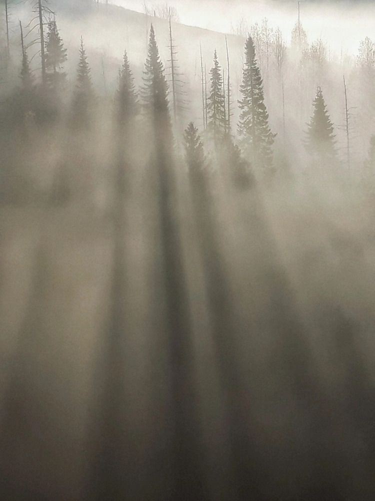 Photograph by Tatyana Busorgina