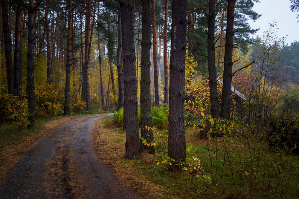 Photograph by Дмитрий Черепков