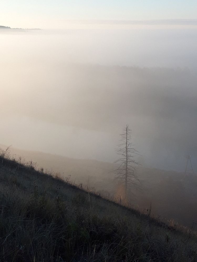 Photo #11222039