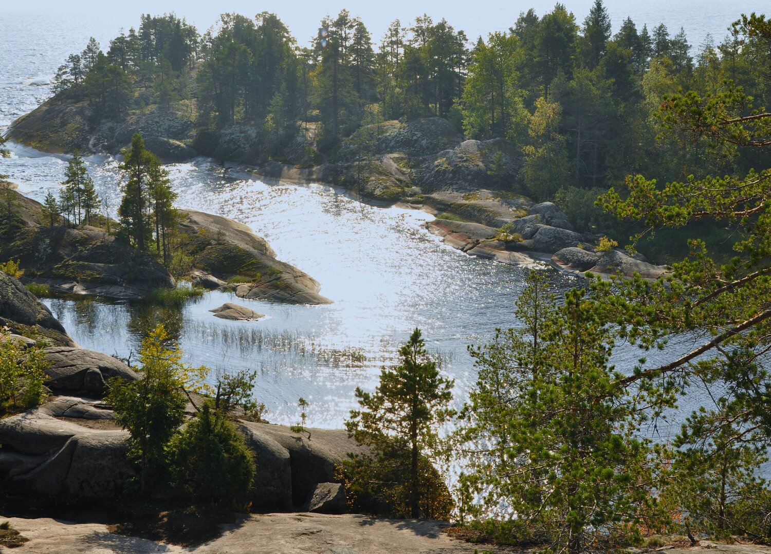 Photo #11222047
