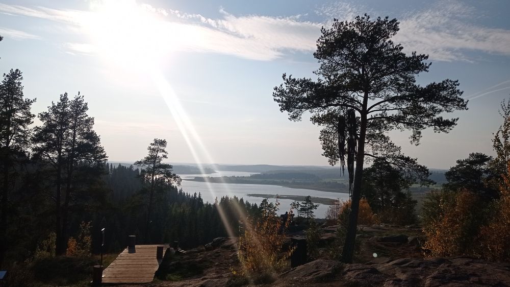 Фотография автора Галина Полякова