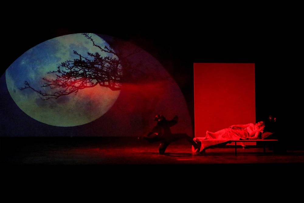 Фотография автора Seyede Elahe GHasemi