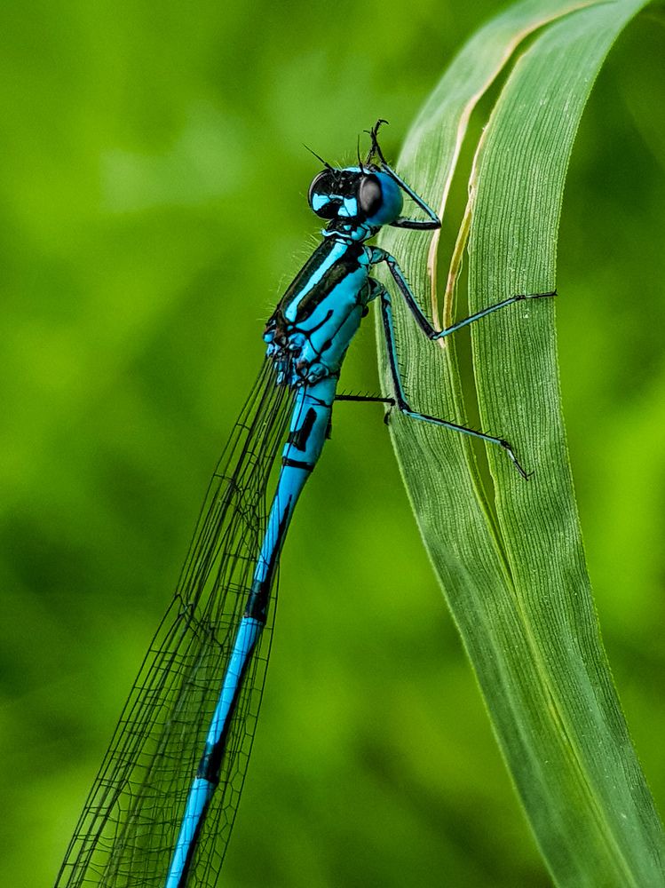 Фотография автора Джаф