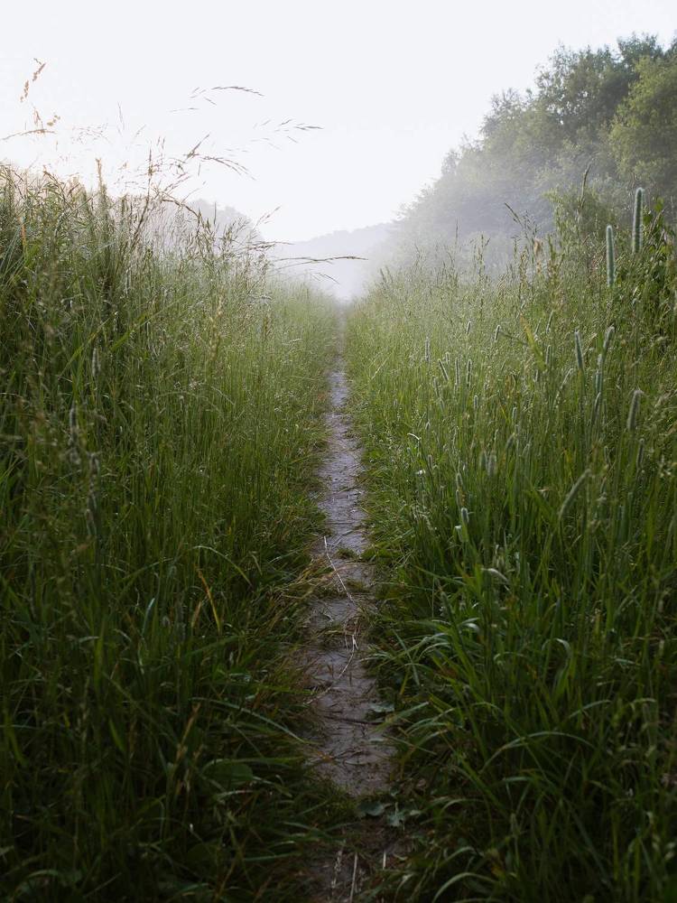 Photograph by Сергей Дивид