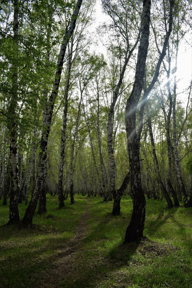 Photograph by Арина Черникова