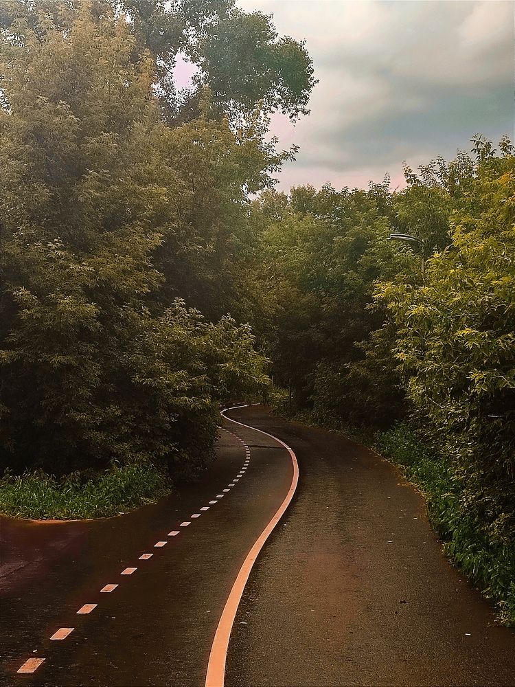 Photograph by Арина Черникова