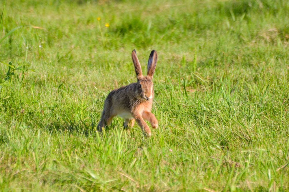Photograph by Анастасия Гурова