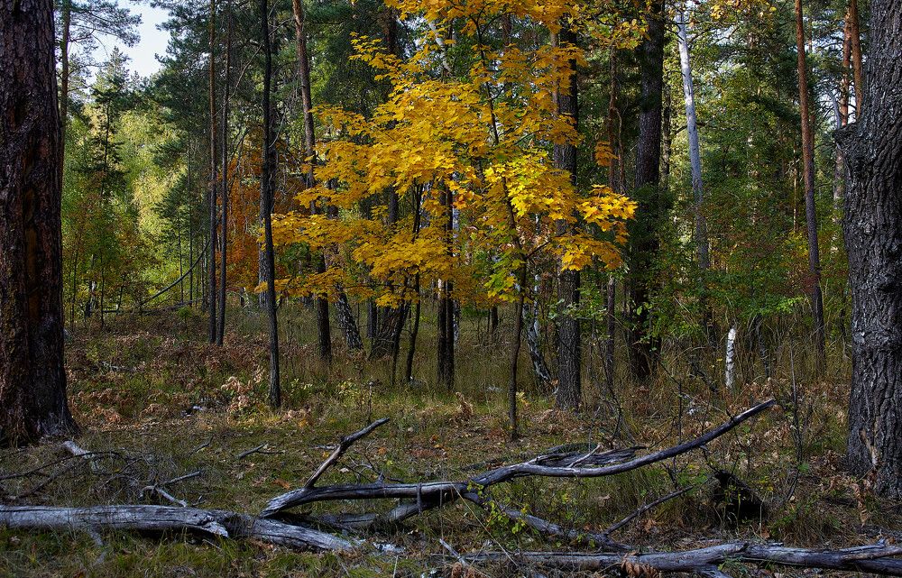 Photograph by Ткачёв Владимир
