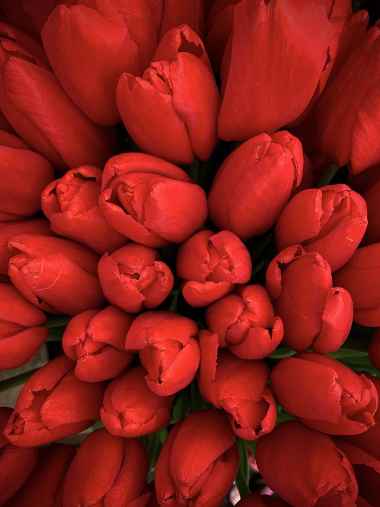 Photograph by Павел Швец