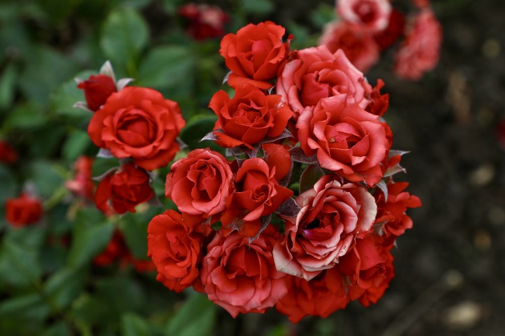 Photograph by Павел Швец