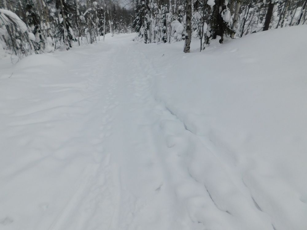 Photograph by Светлана Зотова