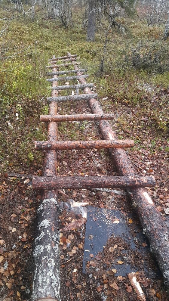 Photograph by Светлана Зотова