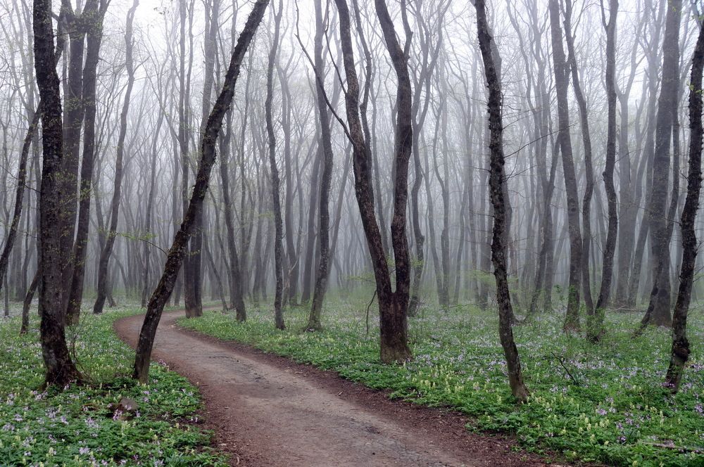 Photograph by Сергей Маслов