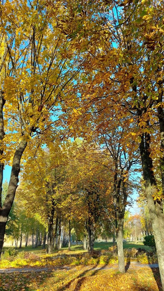 Photograph by ЭЛЬМИРА  ИСМАИЛОВА