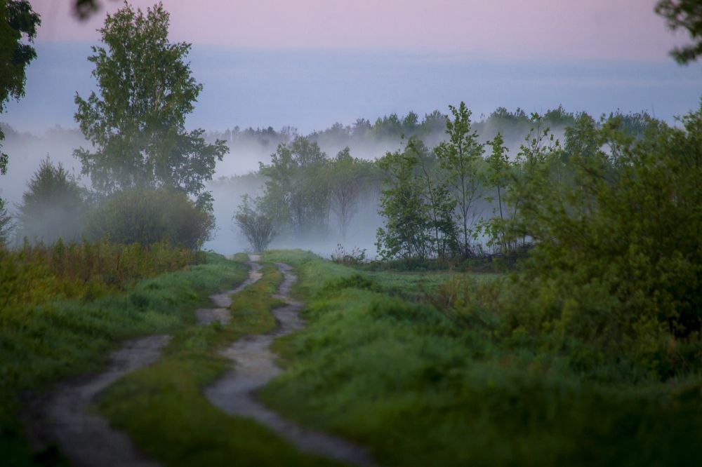 Photograph by Дмитрий Черепков