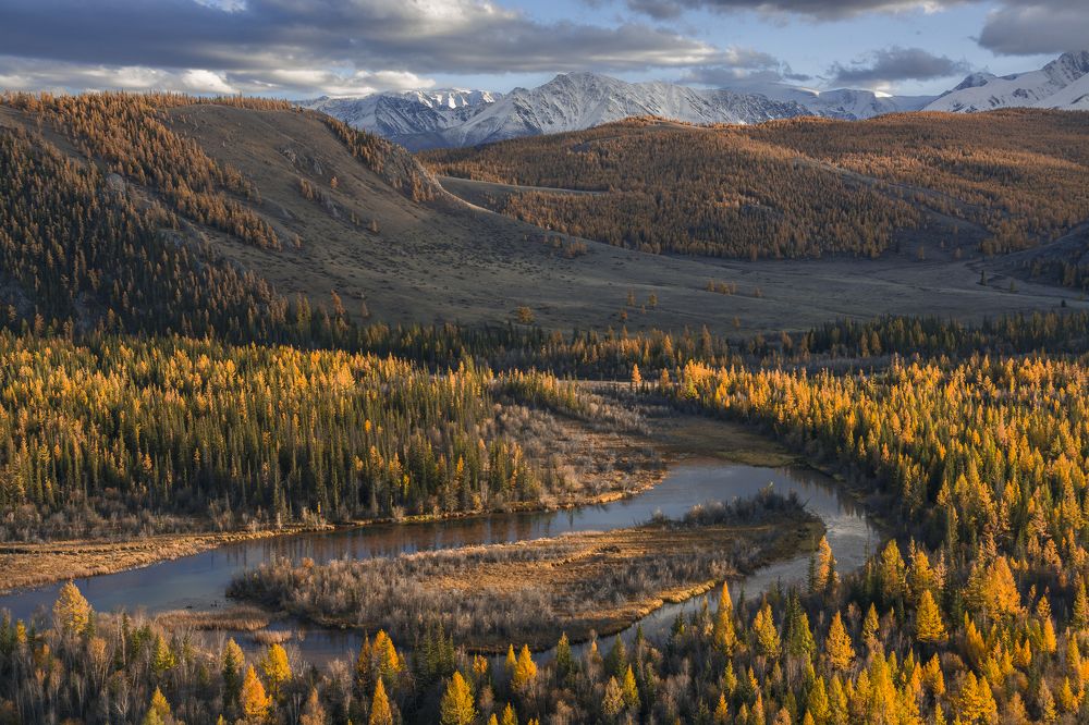 В лучах заходящего солнца