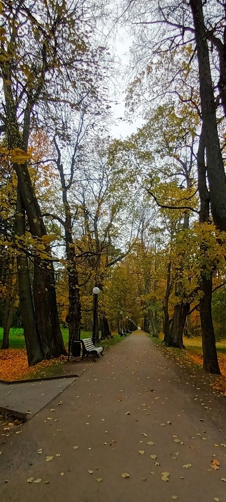 Photograph by Инна Демкив