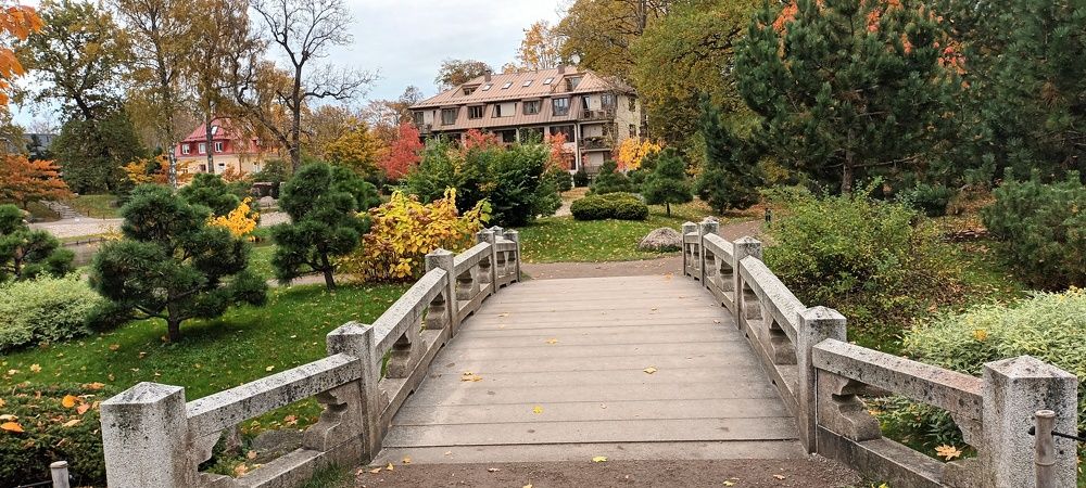 Осень в японском саду