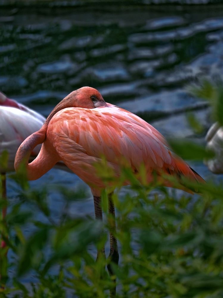 Фотография автора Olga Shchetinina