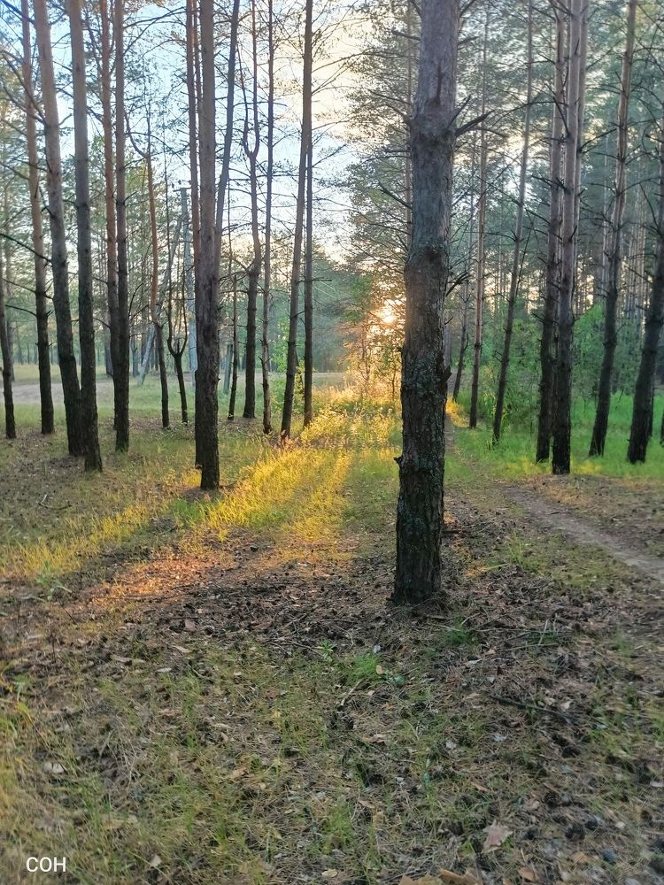 Photograph by Ольга Скворцова