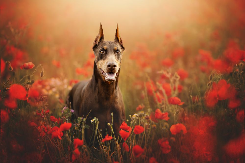 Photograph by Rut Casanellas